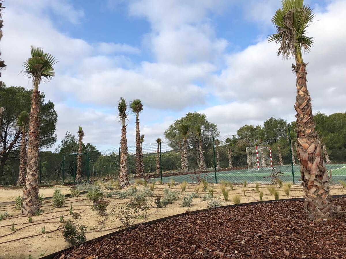 Plantación de palmeras en pista multideportiva de Las Colinas Golf &amp; Country Club